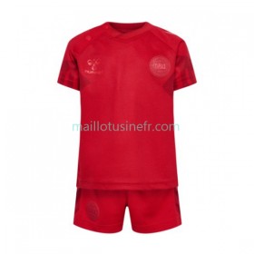 Maillot de Foot Danemark Domicile Coupe du monde 2022 - Enfant